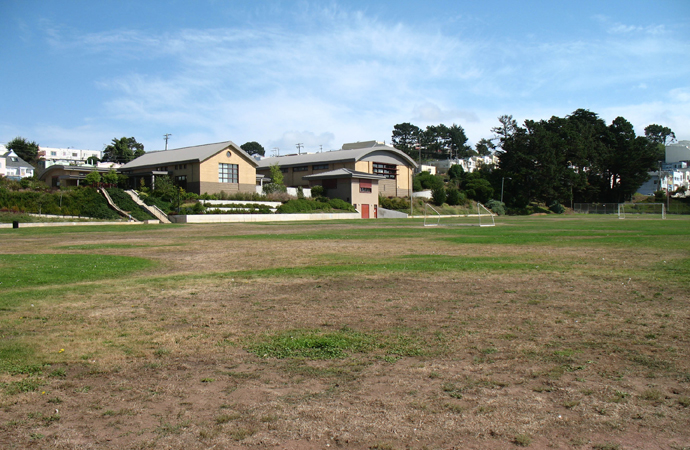 For many years, Minnie's grass struggled due to busy gophers, too few staff and a giant sink hole in the center of the field.
